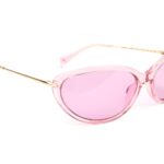 Ana Hickmann Rund Sonnenbrille HI9250 70T02 in Pink – 45° Seitenansicht