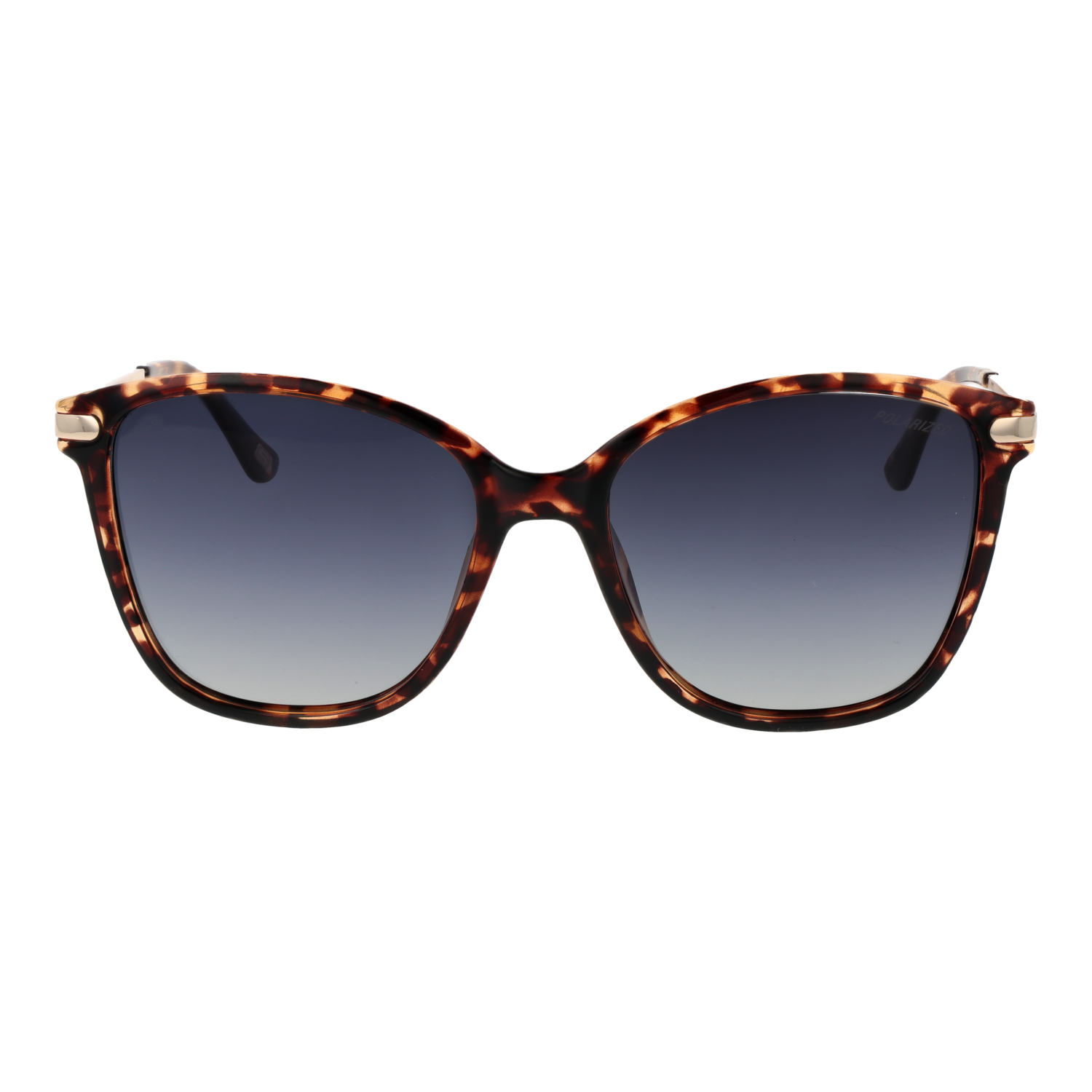 Skechers Sonnenbrille SE6209 5556R – Frontansicht mit Kunststoff Rahmen und Grau Gläsern