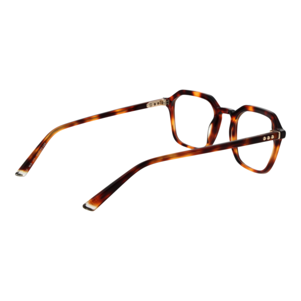 Frontansicht der Taylor Morris Brille W5 C3 – Rahmen Azetat