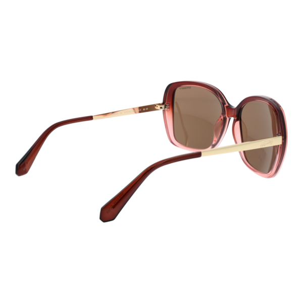 Rückansicht der Superdry Sonnenbrille SDS 5035 57103 – Kunststoff Rahmen