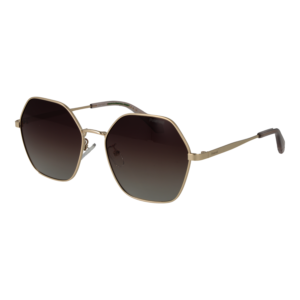 Polaroid Geometric Sonnenbrille PLD 4205/G/S/X 5601QLA in Gold – 45° Seitenansicht