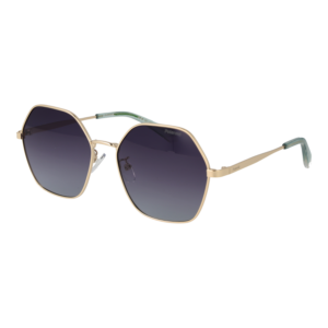 Polaroid Geometric Sonnenbrille PLD 4205/G/S/X 56J5GWJ in Gold – 45° Seitenansicht