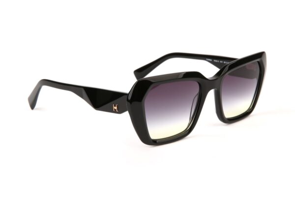 Ana Hickmann Sonnenbrille HI9215 52A01 in Schwarz – 45° Seitenansicht