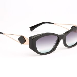 Ana Hickmann  Sonnenbrille HIY9006 53A01 in Schwarz – 45° Seitenansicht