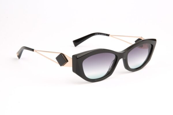 Ana Hickmann Sonnenbrille HIY9006 53A01 in Schwarz – 45° Seitenansicht