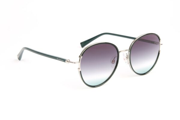 Ana Hickmann Panto Sonnenbrille HI3191 5203A in Grün – 45° Seitenansicht