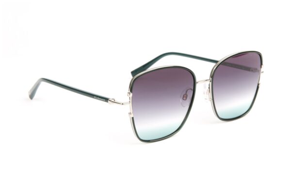 Ana Hickmann Quadrat Sonnenbrille HI3192 5503A in Grün – 45° Seitenansicht
