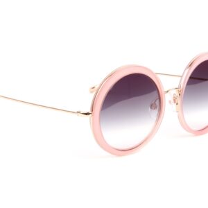 Ana Hickmann Rund Sonnenbrille HI3194 54T02 in Rosa – 45° Seitenansicht