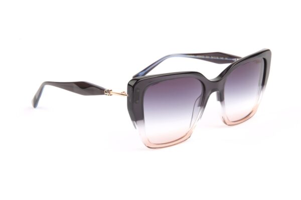 Ana Hickmann Sonnenbrille AH9423 54C01 in Braun – 45° Seitenansicht