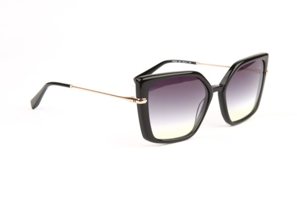 Ana Hickmann Sonnenbrille HI9234 56A01 in Schwarz – 45° Seitenansicht