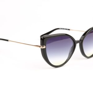 Ana Hickmann  Sonnenbrille HI9235 56A01 in Schwarz – 45° Seitenansicht