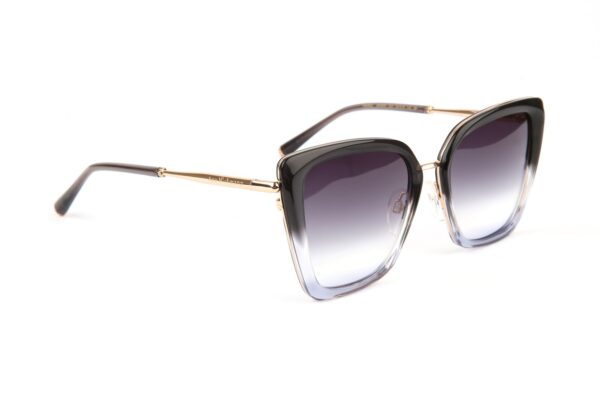 Ana Hickmann Quadrat Sonnenbrille AH3291 53C01 in Grau – 45° Seitenansicht