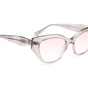 Ana Hickmann Katzenaugen Sonnenbrille HI9238 53T01 in Grau – 45° Seitenansicht