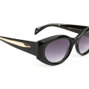 Ana Hickmann Katzenaugen Sonnenbrille AH9445 53A01A in Schwarz – 45° Seitenansicht