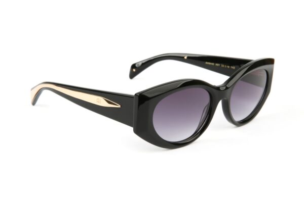 Ana Hickmann Katzenaugen Sonnenbrille AH9445 53A01A in Schwarz – 45° Seitenansicht