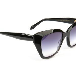Ana Hickmann Rund Sonnenbrille AH9454 53A01 in Schwarz – 45° Seitenansicht