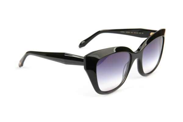 Ana Hickmann Rund Sonnenbrille AH9454 53A01 in Schwarz – 45° Seitenansicht