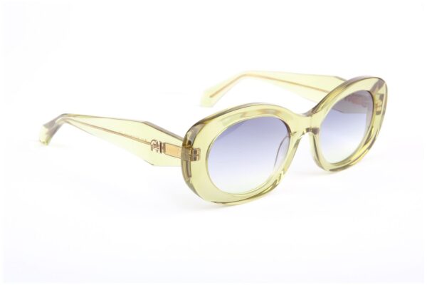 Ana Hickmann Rund Sonnenbrille AH9483 52T02 in Grün – 45° Seitenansicht