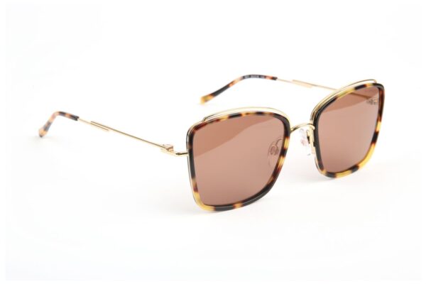 Ana Hickmann Quadrat Sonnenbrille HI3220 54G21 in Braun – 45° Seitenansicht