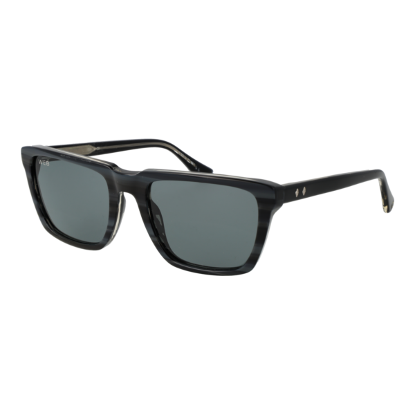 Web Quadrat Sonnenbrille WE0379 5520A in Grau – 45° Seitenansicht