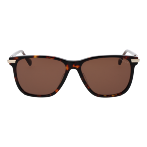 Gant Sonnenbrille GA00005 5552E – Frontansicht mit Azetat Rahmen und Braun Gläsern