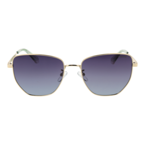 Polaroid Sonnenbrille PLD 4204/G/S/X 56J5GWJ – Frontansicht mit Metall Rahmen und Grau Gläsern