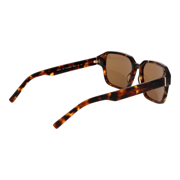 Rückansicht der Timberland Sonnenbrille TB00043 5654H – Azetat Rahmen