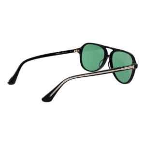 Rückansicht der Web Sonnenbrille WE0368 5901N – Azetat Rahmen