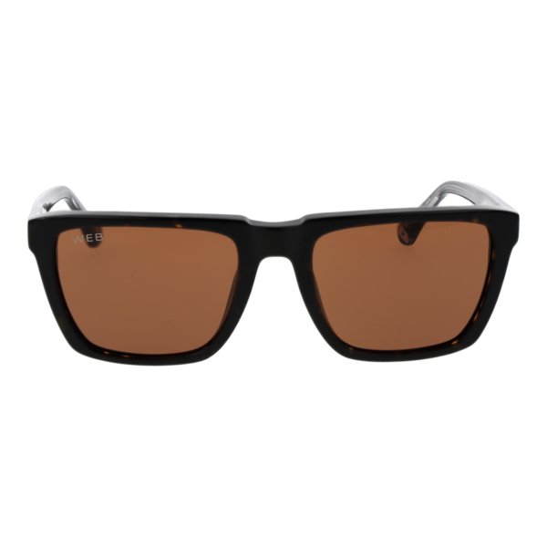 Web Sonnenbrille WE0379 5556E – Frontansicht mit Azetat Rahmen und Braun Gläsern
