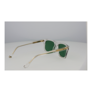 Rückansicht der Web Sonnenbrille WE0382 5526N – Azetat Rahmen
