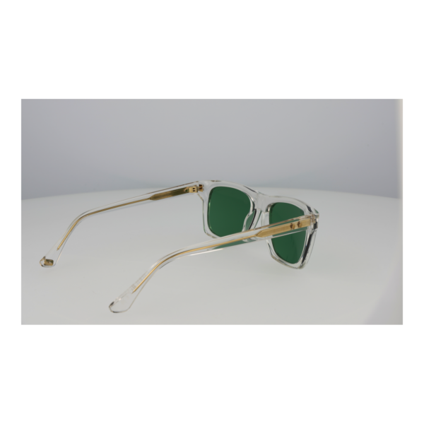 Rückansicht der Web Sonnenbrille WE0382 5526N – Azetat Rahmen