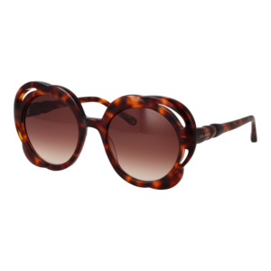 Ted Baker Rund Sonnenbrille TB1772 53100 in Havanna – 45° Seitenansicht