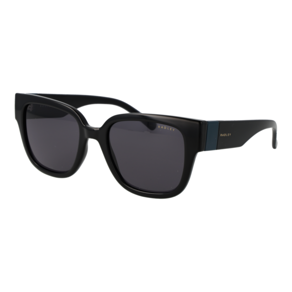 Radley Quadrat Sonnenbrille RDS-6556 54104 in Schwarz – 45° Seitenansicht