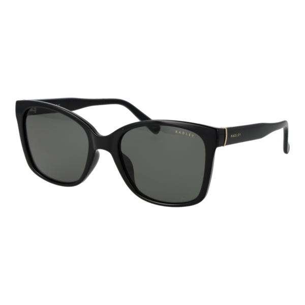 Radley Katzenaugen Sonnenbrille RDS-6562 54104 in Schwarz – 45° Seitenansicht