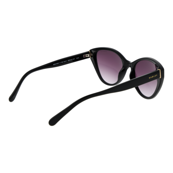 Rückansicht der Radley Sonnenbrille RDS-6561 55104 – Polycarbonat Rahmen