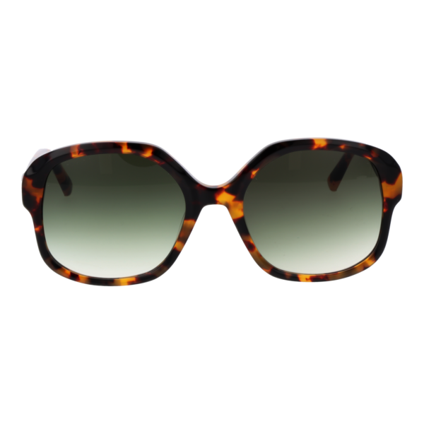 Ted Baker Sonnenbrille TB1685 55267 – Frontansicht mit Azetat Rahmen und Grün Gläsern
