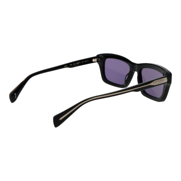 Rückansicht der Ted Baker Sonnenbrille TB1764 54001 – Azetat Rahmen