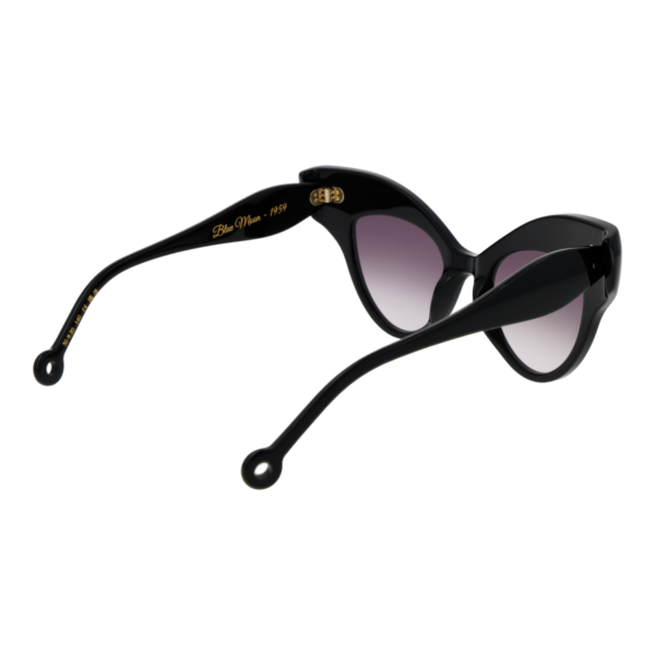 Rückansicht der Hally & Son Sonnenbrille HS940S01 5001 – Azetat Rahmen