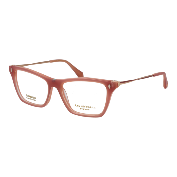 Rückansicht/Bügel der Ana Hickmann Brille AH6565GT 54H01 & AH6565GT 54H01G
