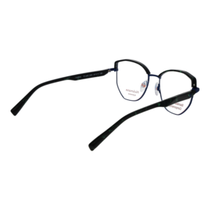 Frontansicht der Ana Hickmann Brille HI1244 52G22 – Rahmen Edelstahl
