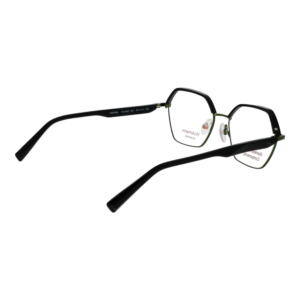 Frontansicht der Ana Hickmann Brille HI1245 55A01 – Rahmen Edelstahl