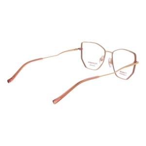 Frontansicht der Ana Hickmann Brille HI1255 5205A – Rahmen Metall