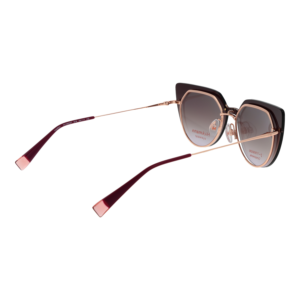 Frontansicht der Ana Hickmann Brille HI1262GT 4907A & HI1262GT 4907AG – Rahmen Titan