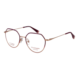 Rückansicht/Bügel der Ana Hickmann Brille HI1262GT 4907A & HI1262GT 4907AG