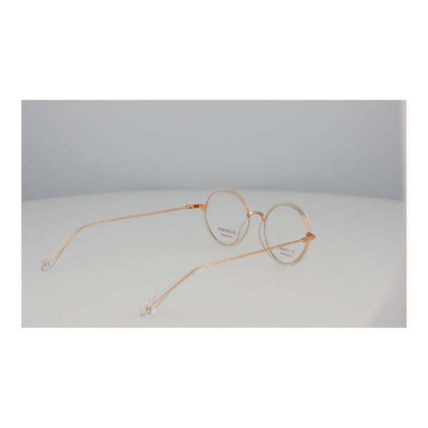 Frontansicht der Ana Hickmann Brille HIY1039T 49T01 – Rahmen Titan