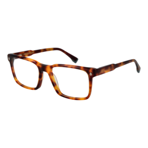 Rückansicht/Bügel der Bulget Brille BG6550MG 54G21 & BG6550MG 54G21G
