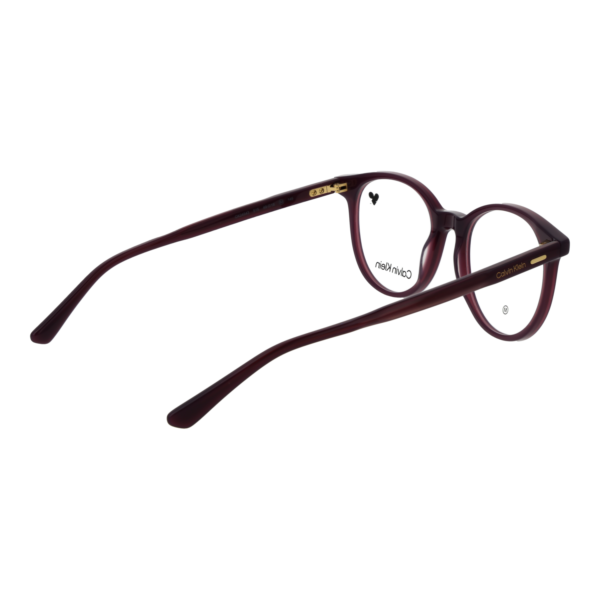 Frontansicht der Calvin Klein Brille CK24543 49515 – Rahmen Azetat