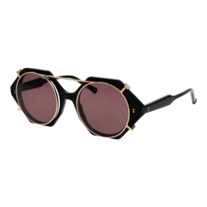 Rückansicht/Bügel der Hally & Son Brille HS938C02 5202