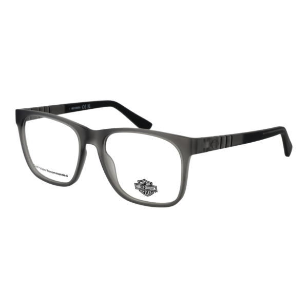 Harley-Davidson )} Brille HD00012 54020 in Grau