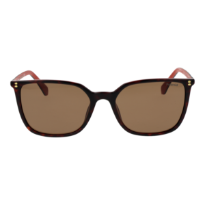 Polaroid Sonnenbrille PLD 4209/S/X 56086SP – Frontansicht mit Polyamid & Eco Gummi Rahmen und Braun Gläsern
